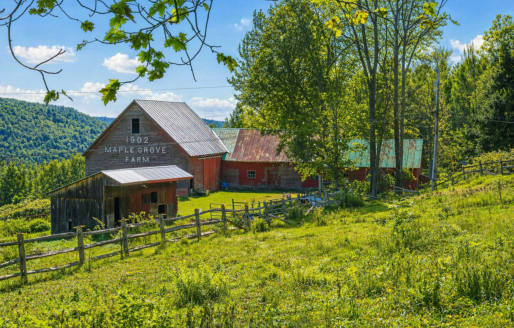 maple grove farms of vermont