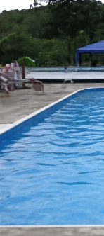 swimming pool at breezy meadows